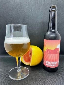 Citrus Saison - Farmhouse Ale, 330ml - 90 FALSTAFF Punkte